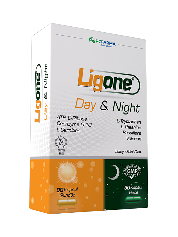 Ligone Day & Night 60 Kapsül